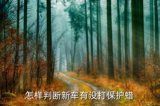 怎么看汽車有沒有內飾打蠟，如何看得出車有沒有打過蠟...